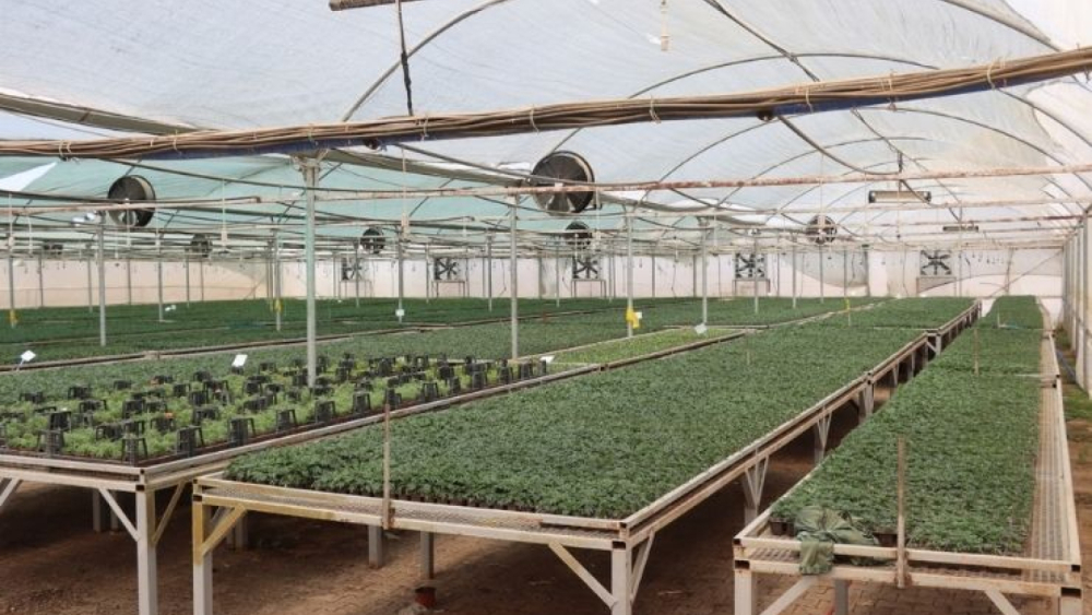 Urfa Belediyesi’nden Peyzajda Büyük Atılım