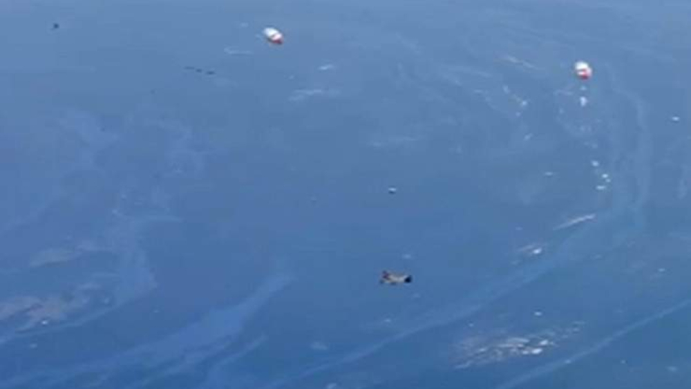 Fırat Nehri’nde Çevre Felaketi Kapıda