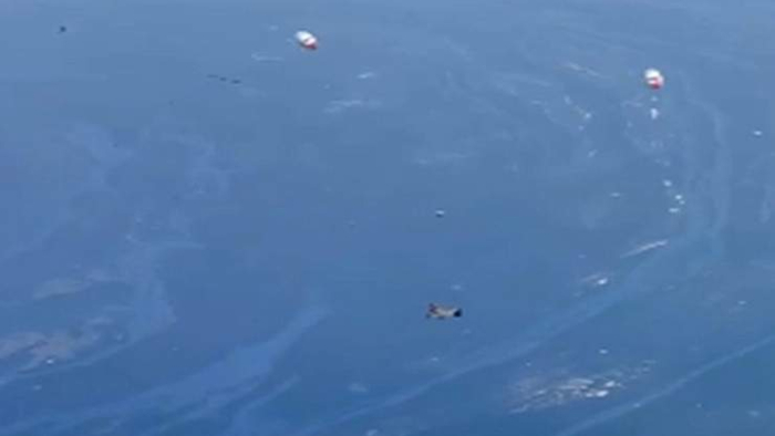 Fırat Nehri’nde Çevre Felaketi Kapıda