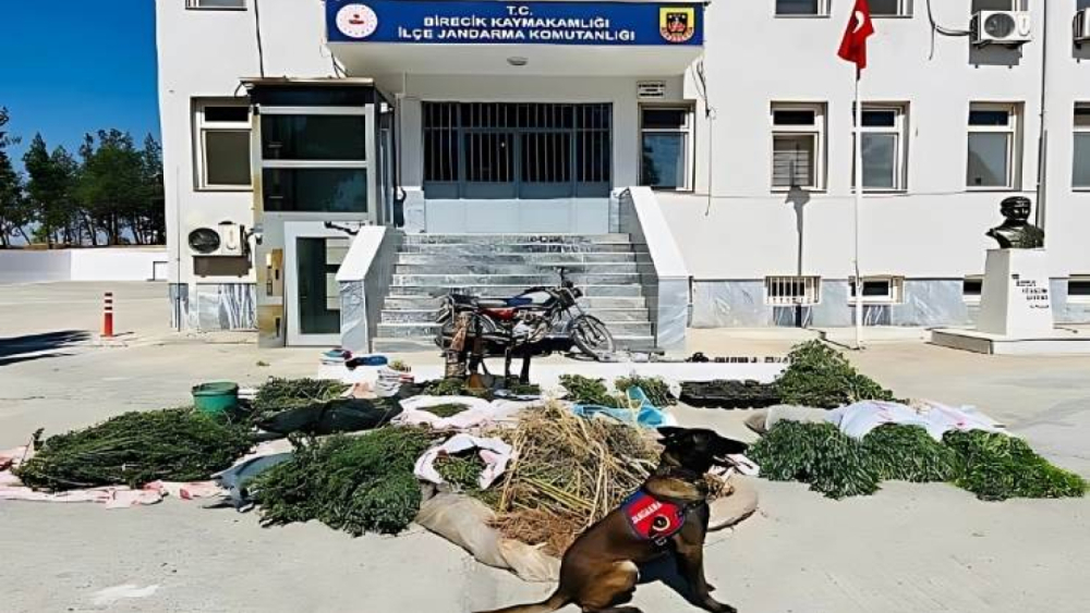 Birecik’te Uyuşturucu Operasyonu