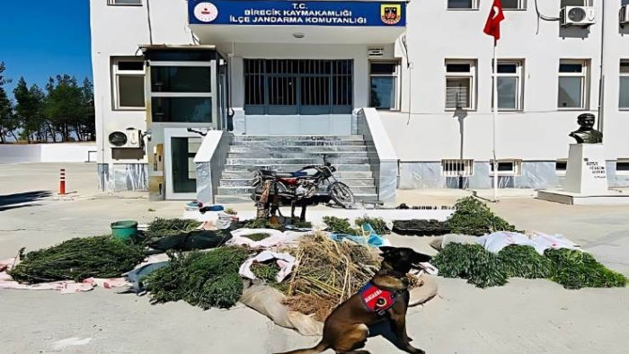 Birecik’te Uyuşturucu Operasyonu