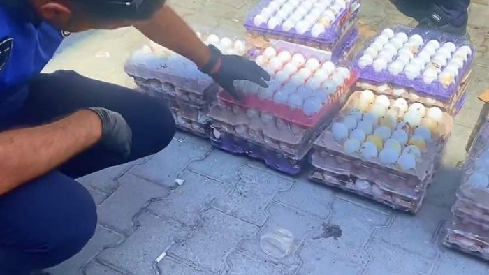 Eyyübiye’de 170 Koli Bozuk Yumurta İmha Edildi