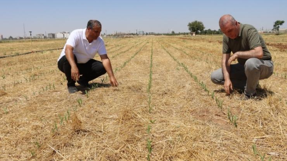 Urfa Büyükşehir Belediyesi’nden Tarımda Yenilik