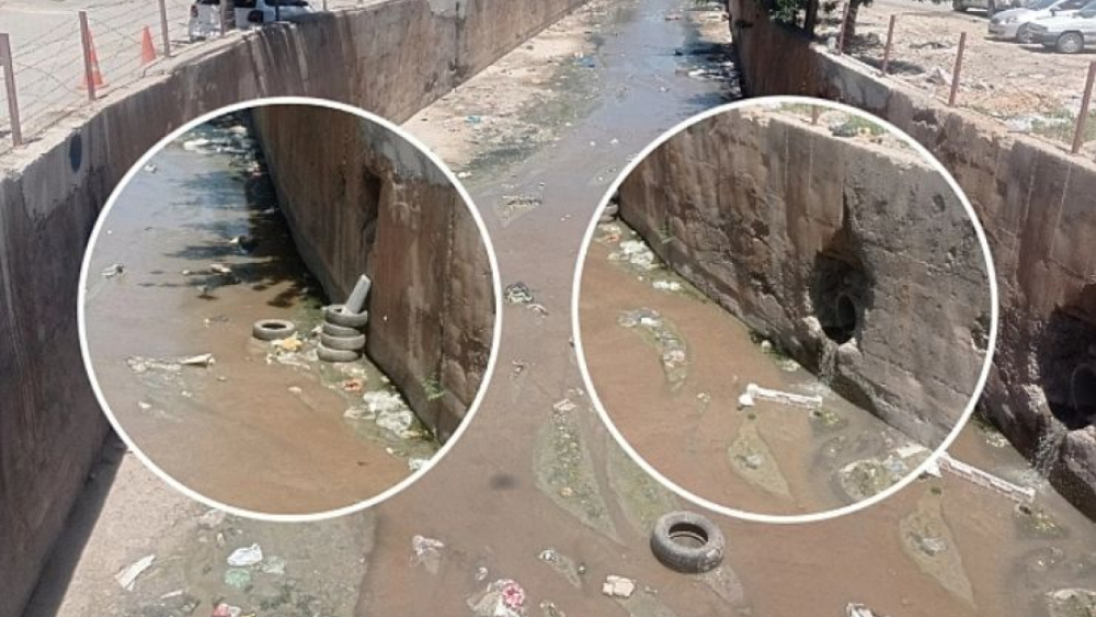 Karakoyun Deresi Zehir Saçıyor