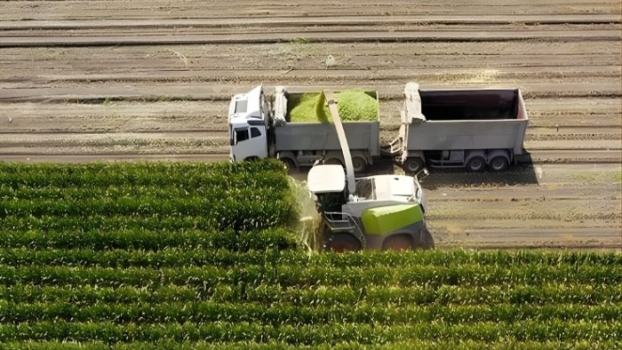 Tarımda Bereket Desteği