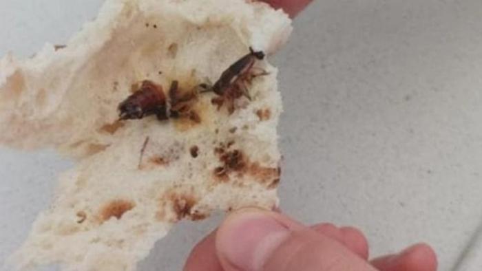 Suruç’ta Ekmekten Hamam Böceği Çıktı