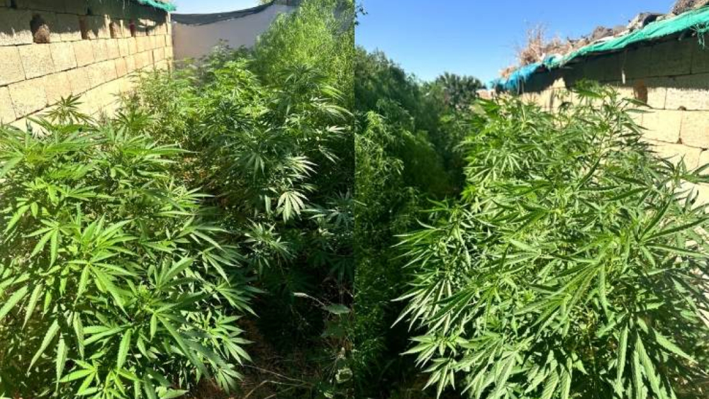 Urfa'da Uyuşturucu Tacirlerine Eş Zamanlı Operasyon