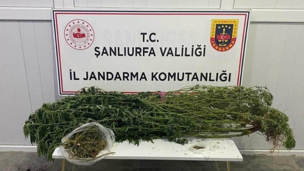 Halfeti ve Suruç’ta Uyuşturucu Operasyonu