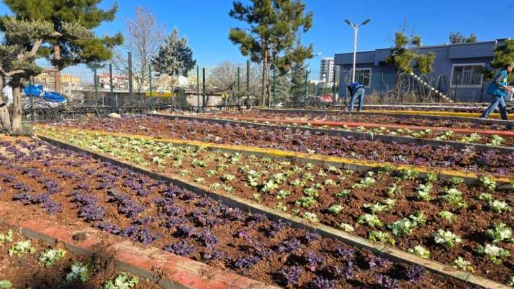 Eyyübiye Belediyesi Parklara Renk Katıyor