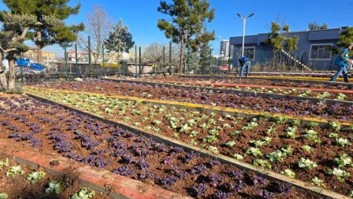 Eyyübiye Belediyesi Parklara Renk Katıyor
