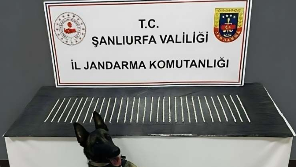 Eyyübiye’de Narkotik Operasyonu: 1206 Hap Ele Geçirildi