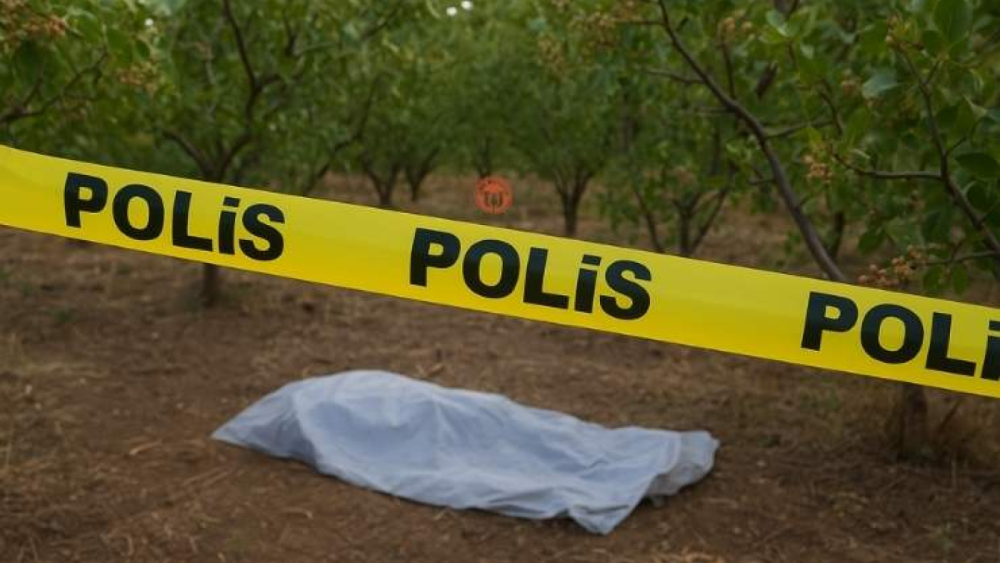 Haliliye’de Fıstık Bahçesinde Kadın Cesedi Bulundu
