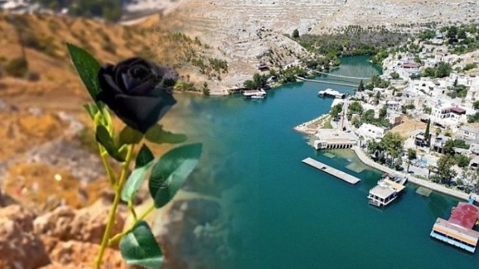 Halfeti’de Kara Gül Hasadı Başladı