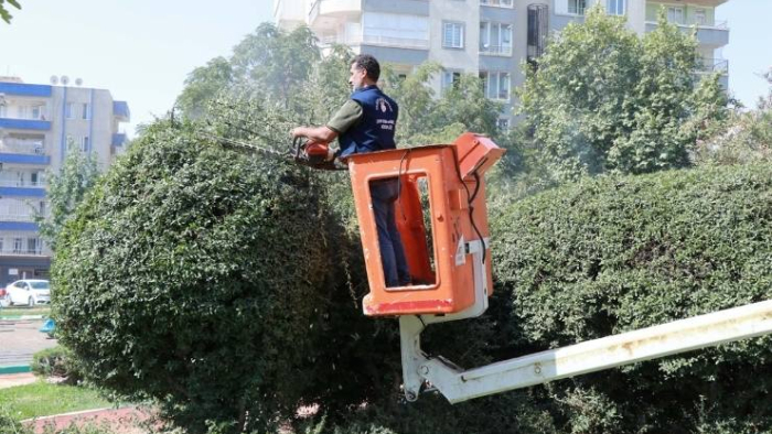Haliliye’de Yeşilin ve Doğanın Kalbi Atıyor