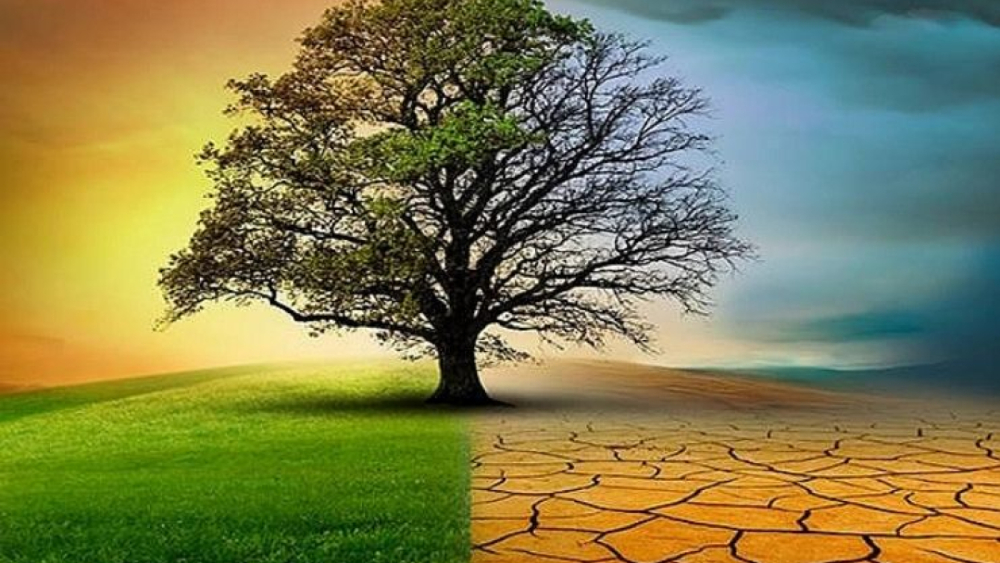 Türkiye’nin İlk İklim Kanunu TBMM’ye Sunuldu! 