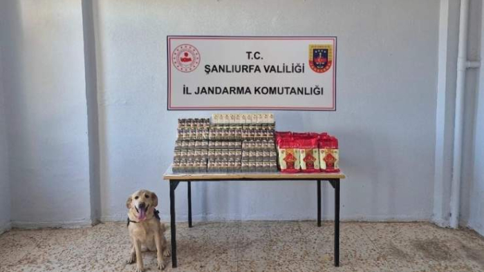 Şanlıurfa’da Kaçak Tütün ve Alkol Operasyonu