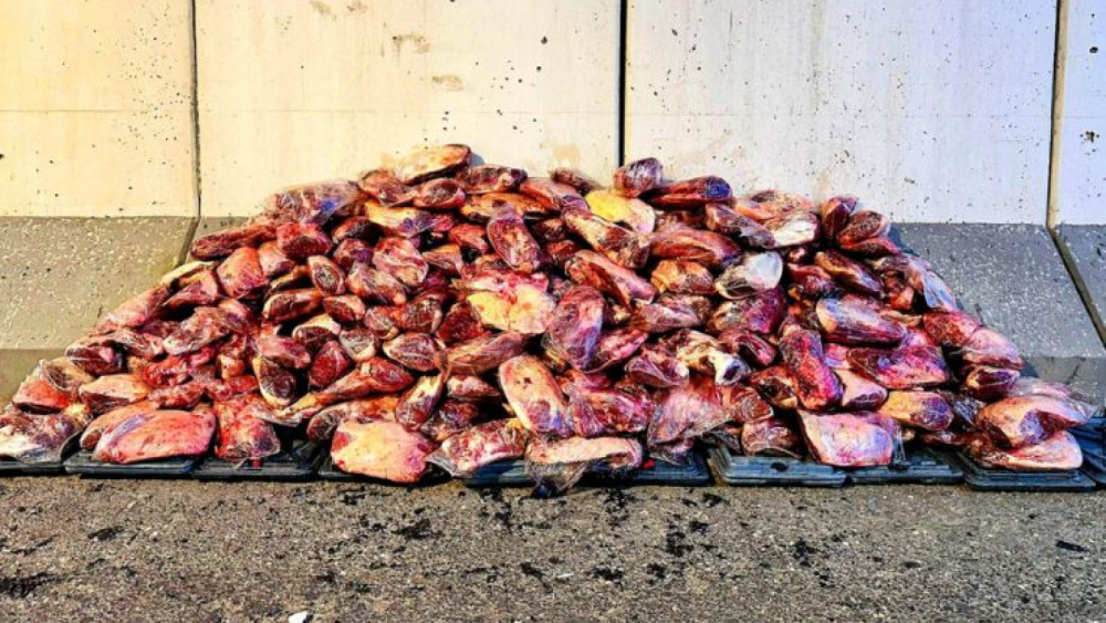 Urfa'da Sağlıksız Et Nakliyesine Jandarma Baskını