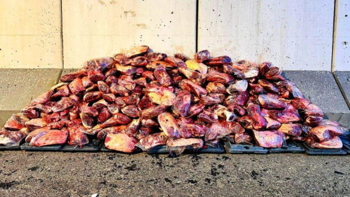 Urfa'da Sağlıksız Et Nakliyesine Jandarma Baskını