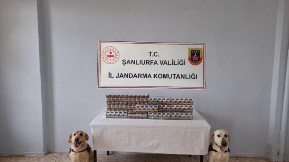 Şanlıurfa’da Kaçak Sigara Operasyonu