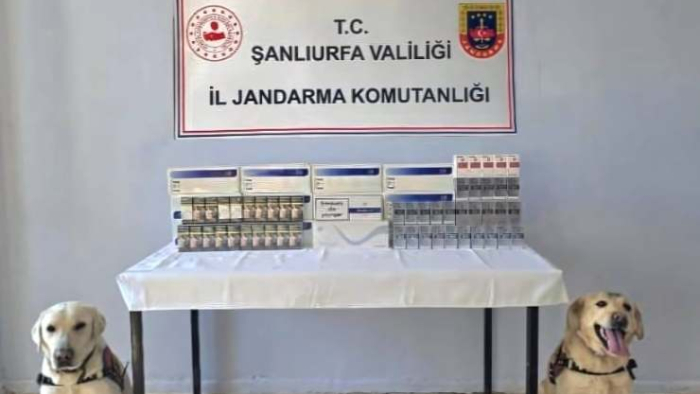Viranşehir’de Kaçak Sigara Operasyonu