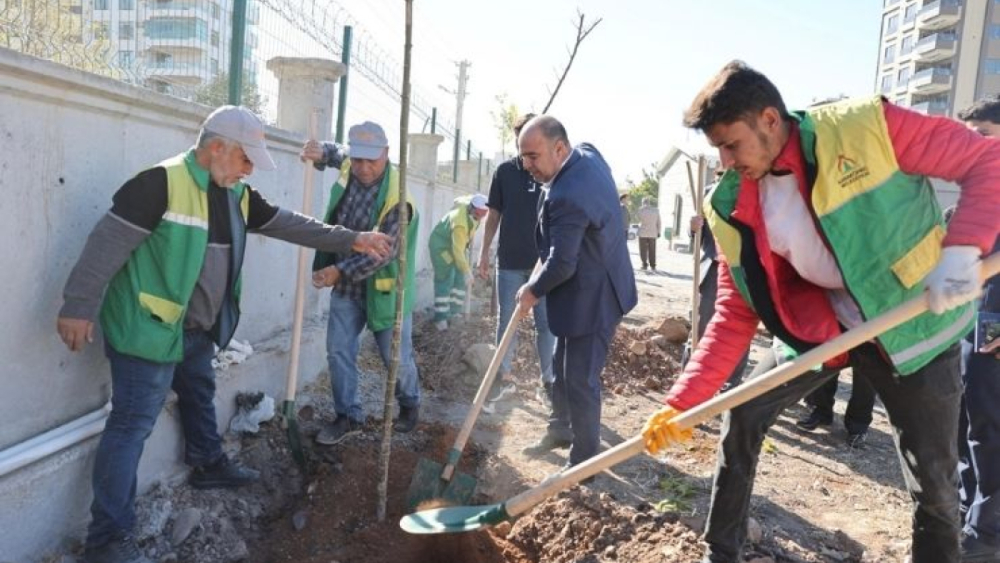 Karaköprü’de 20 Yeni Park İçin Ağaçlandırma Başladı
