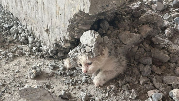 Haliliye’de Hayat Kurtaran Müdahale