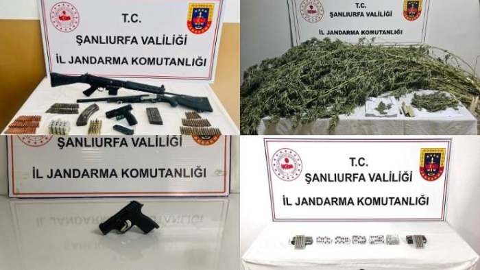 Şanlıurfa’da Jandarmadan 4 İlçede Operasyon