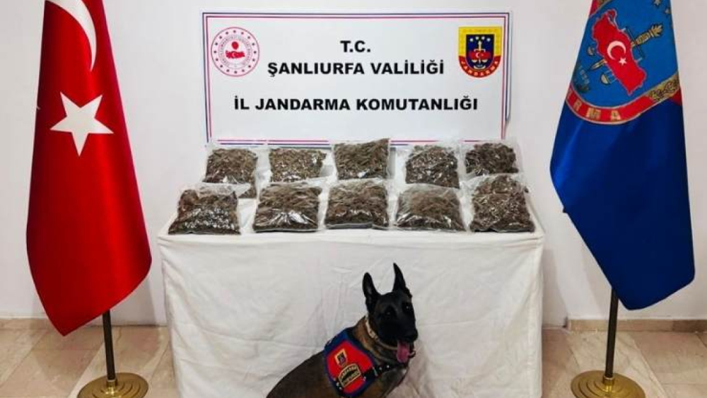 Şanlıurfa’da 7 Kilo Skunk Ele Geçirildi