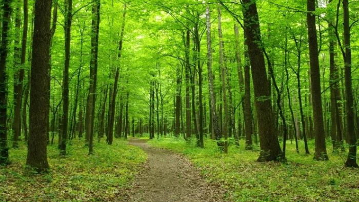 Şanlıurfa’da Ormanlara Giriş Yasaklandı