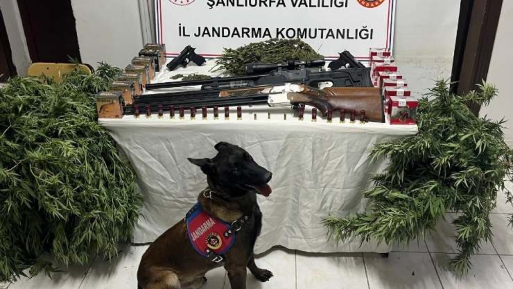 Harran’da Uyuşturucu ve Silah Operasyonu