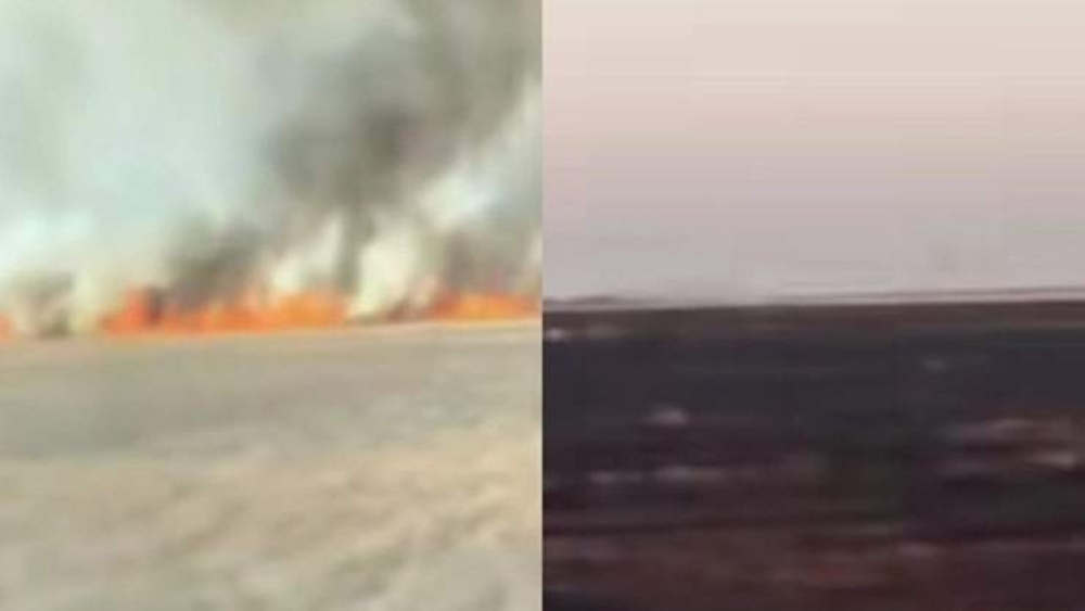 Viranşehir'de 350 Dönüm Buğday Tarlası Kül Oldu