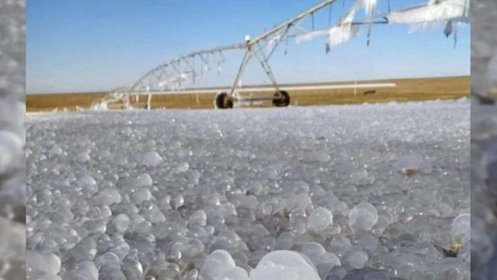 Şanlıurfa’da Soğuk Hava Hayatı Felç Etti