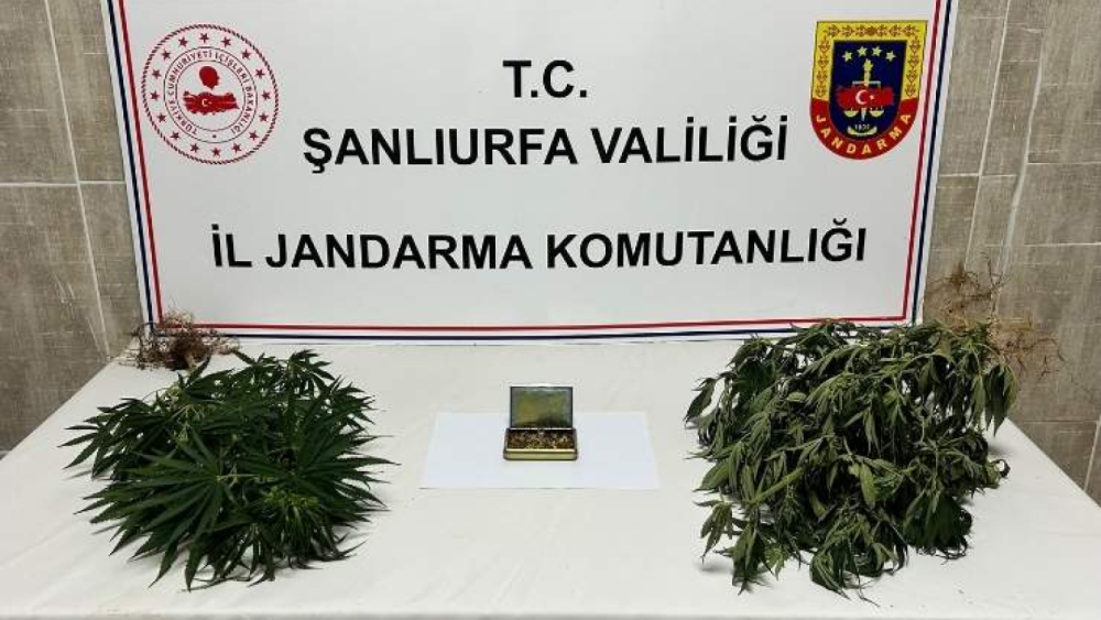 Şanlıurfa’da Narkotik Operasyonu: 6 Gözaltı