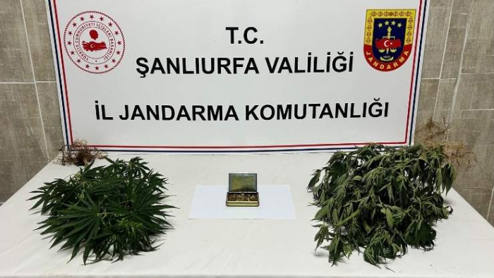 Şanlıurfa’da Narkotik Operasyonu: 6 Gözaltı