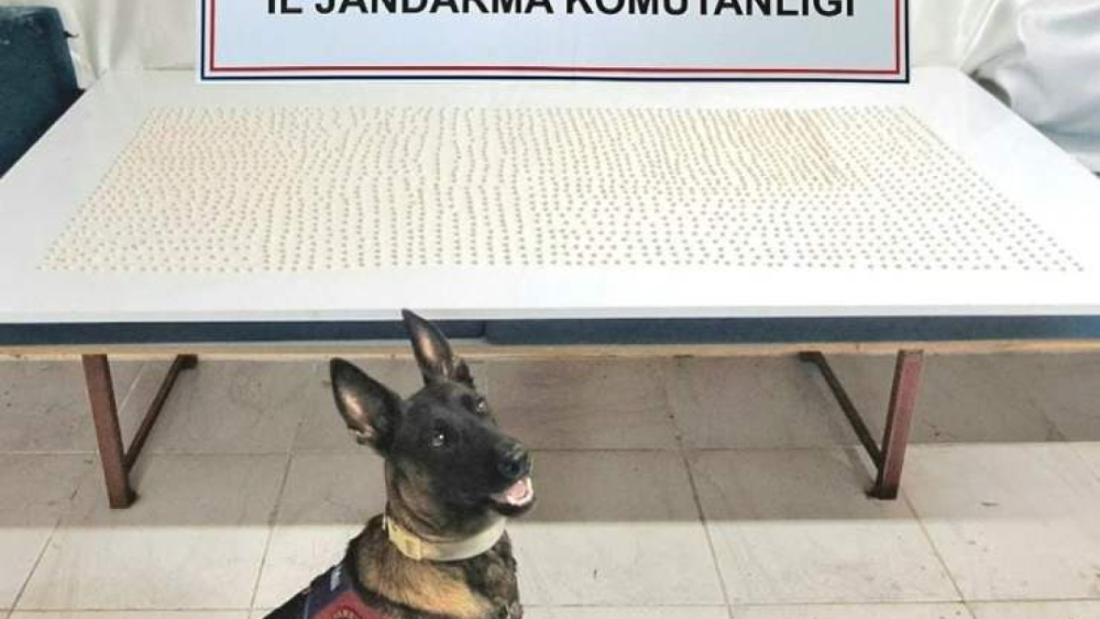 Urfa’da Eş Zamanlı Uyuşturucu Operasyonu