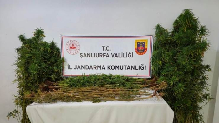 Şanlıurfa’da Zehir Tacirlerine Büyük Darbe