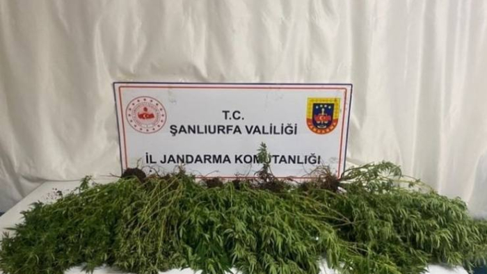 Şanlıurfa’da JASAT’tan Zehir Tacirlerine Darbe