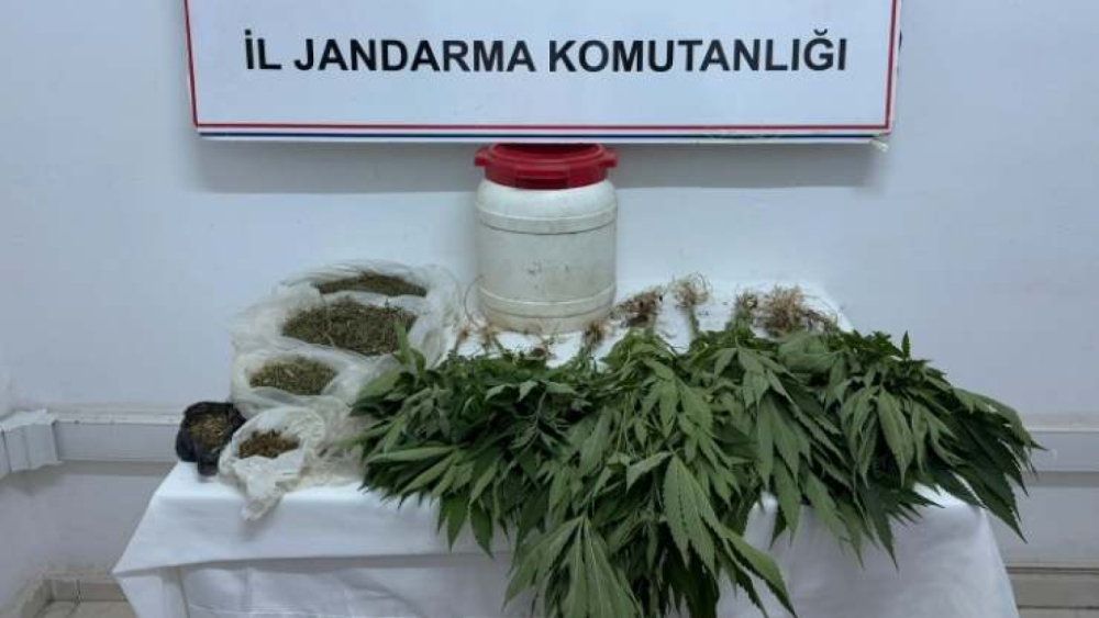 Suruç’ta Uyuşturucu Operasyonu