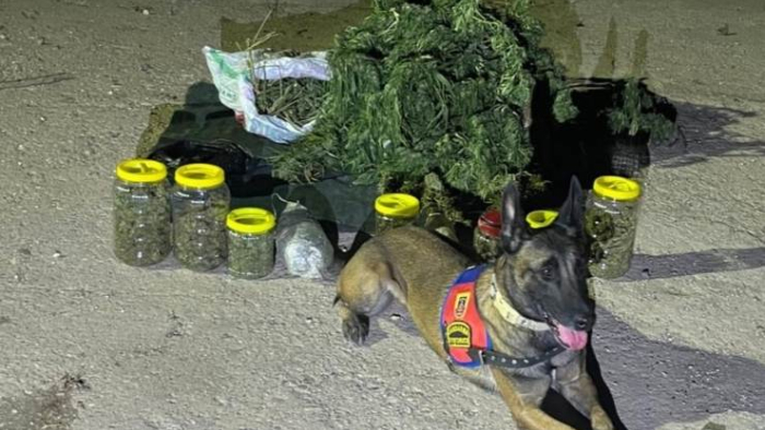 Viranşehir’de Jandarmadan Uyuşturucu Operasyonu