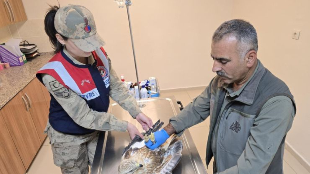 Şanlıurfa Jandarması Can Dostların Yanında