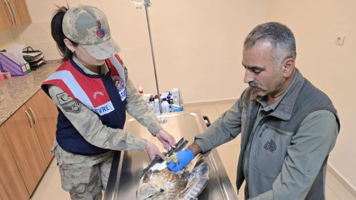 Şanlıurfa Jandarması Can Dostların Yanında