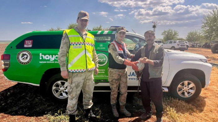 Urfa'da Yaralı Leylek Tedavi Altına Alındı