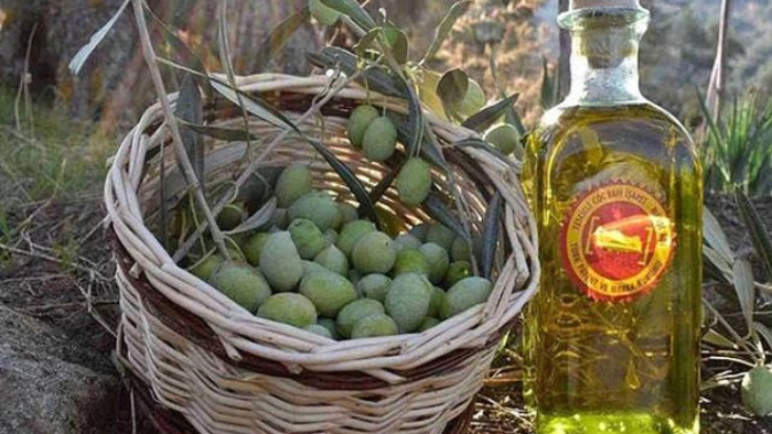 Türk Zeytini Avrupa Pazarıyla Buluşuyor