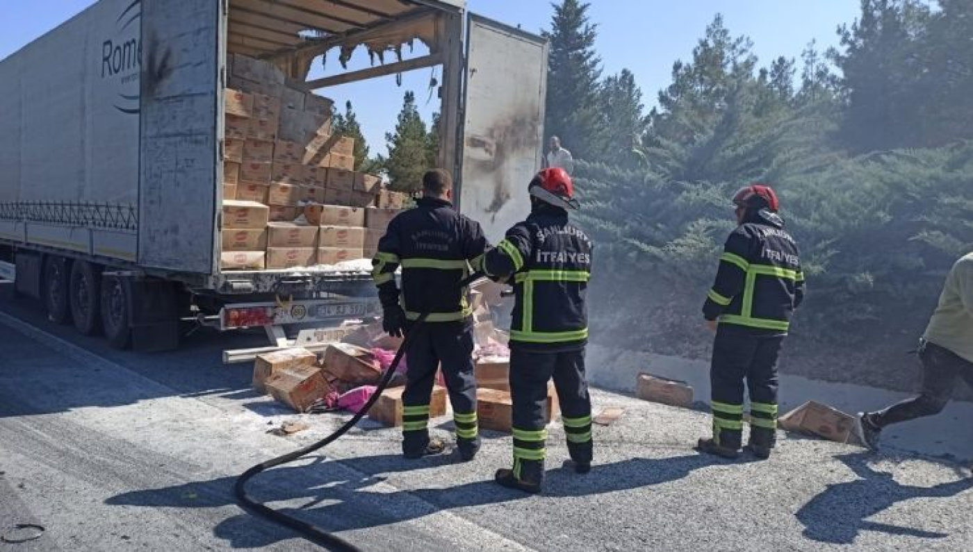 tir-yangini-1-i68283023eb493.jpg
